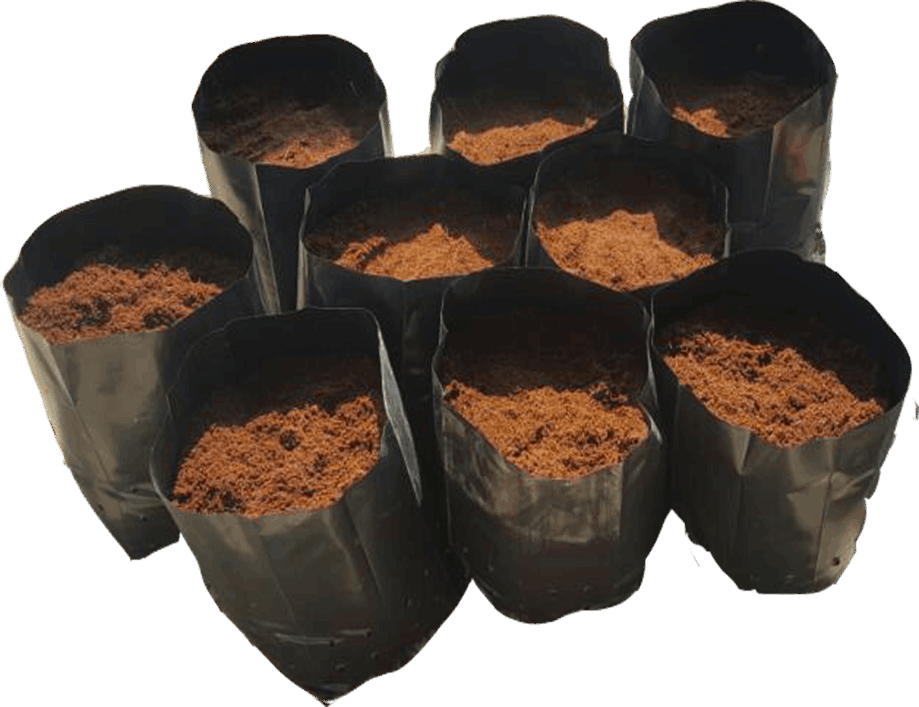Premium Coco Peat