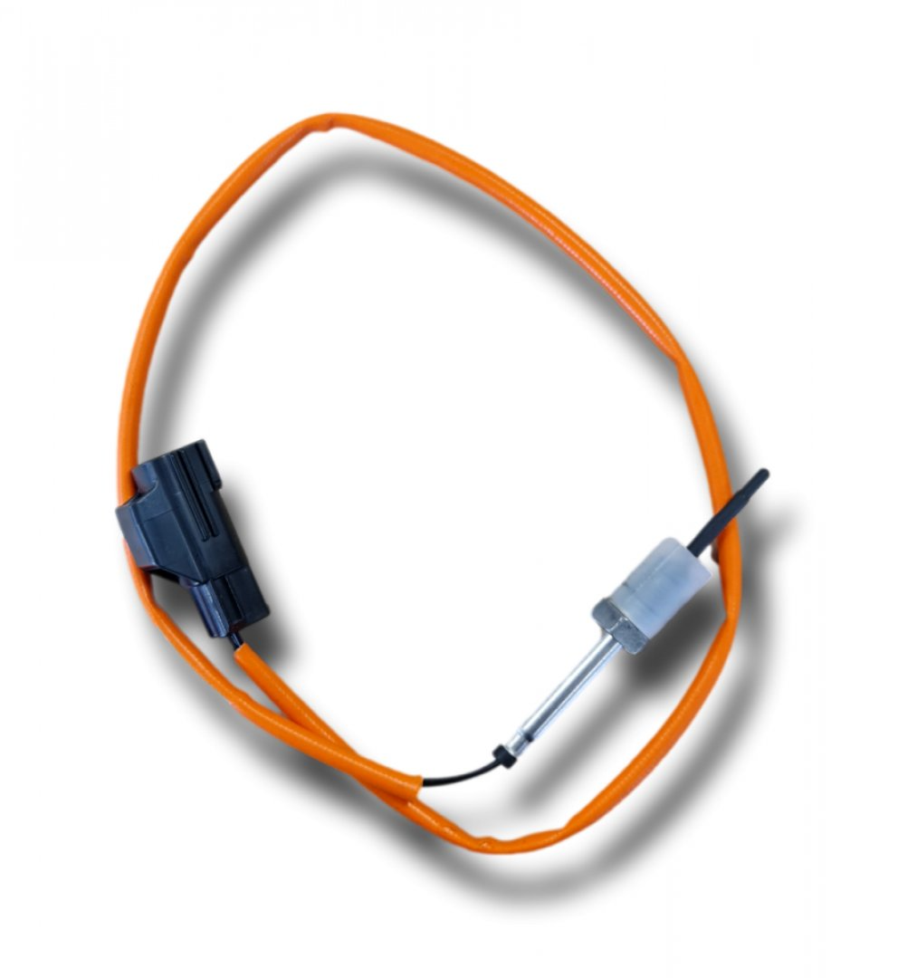 EGZOST GAZ ISI&PARTEKUL FILTRE SENSORU ON 3.0 V6/3.0L V6 (VOGUE/SPORT)