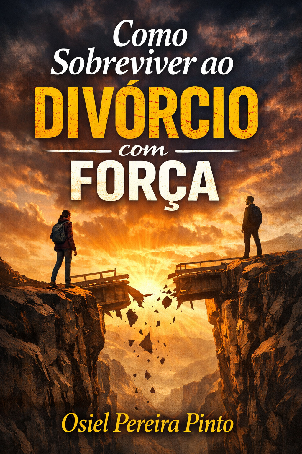Como Sobreviver ao Divórcio com Força