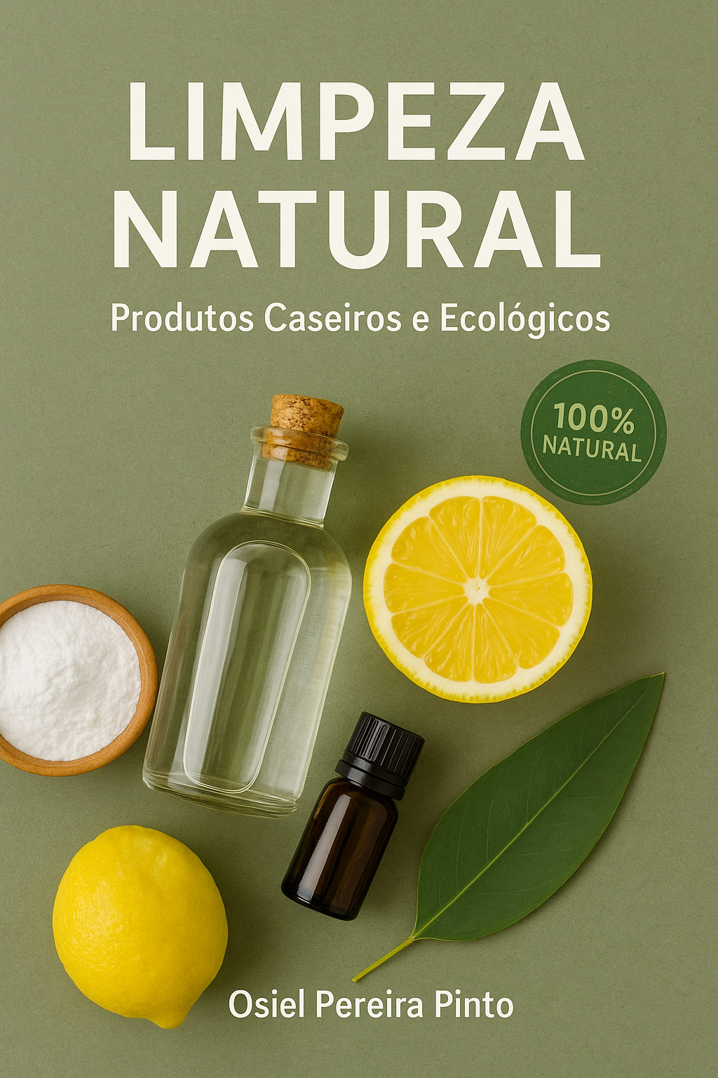 Livro Limpeza Natural