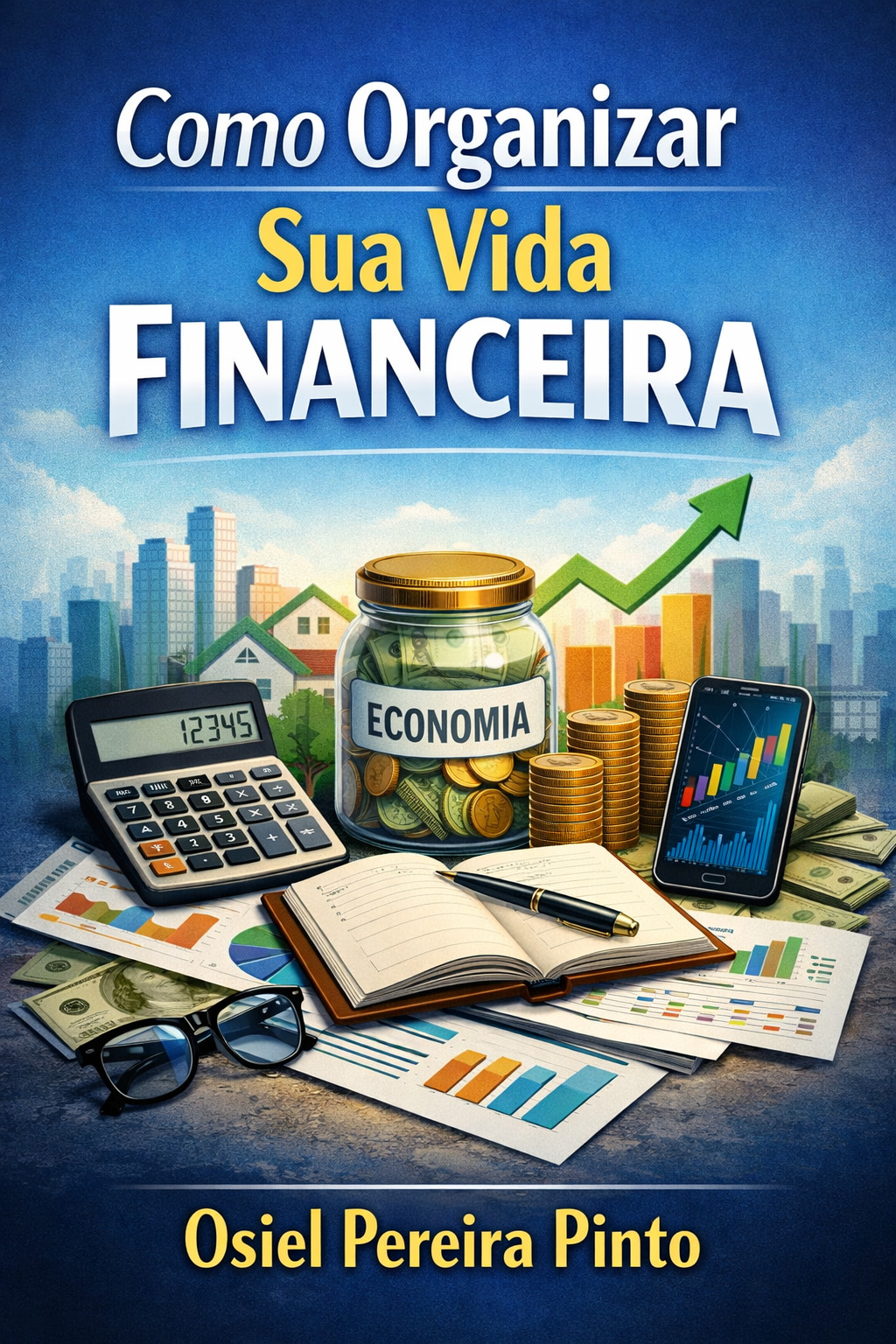 Como Organizar Sua Vida Financeira
