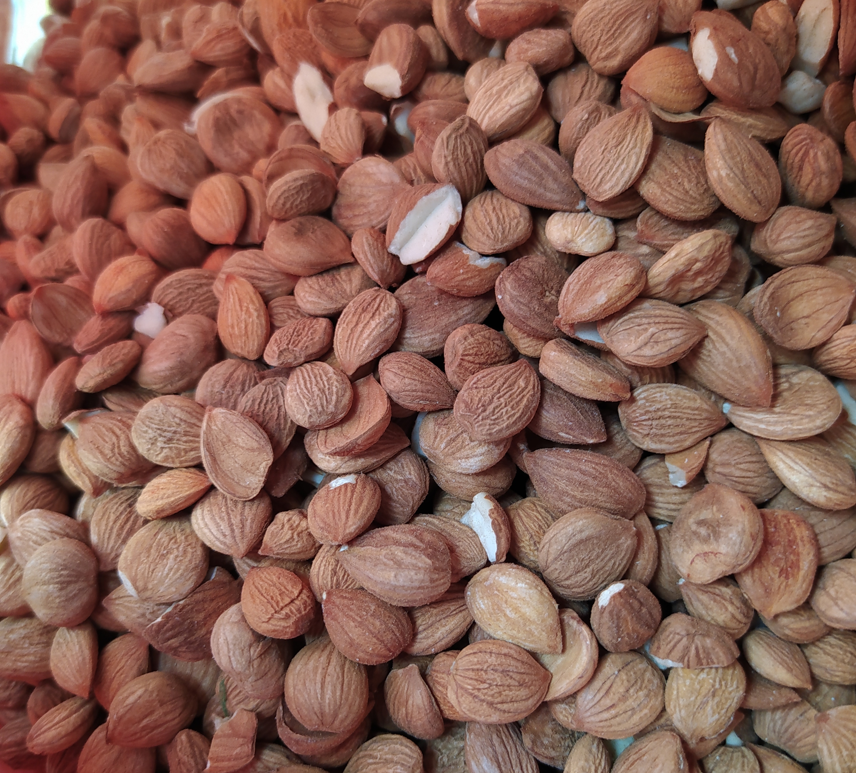 Raw Apicot Almonds