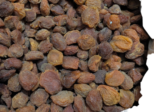 Gilgit Baltistan Dried Apricots