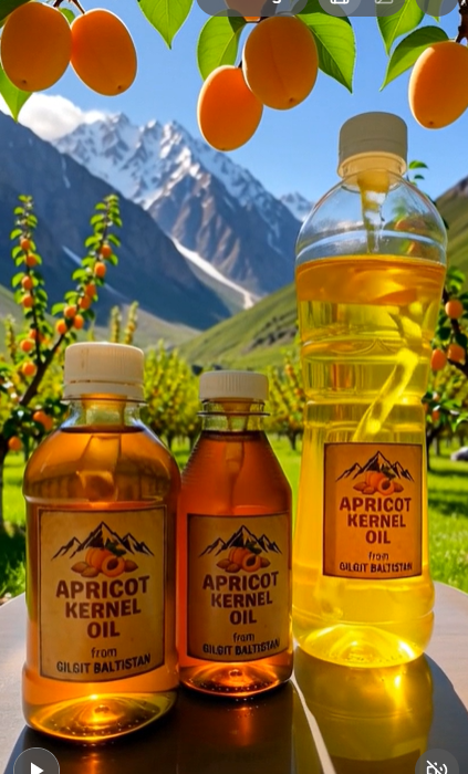 Organic Apricot Oil – For Skin, Hair & Culinary Use