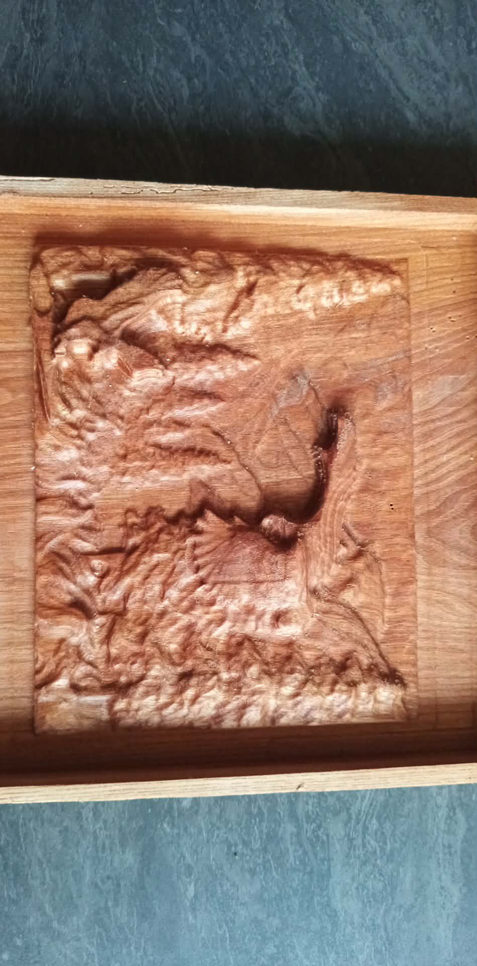 Gravure murale en bois bouquetin