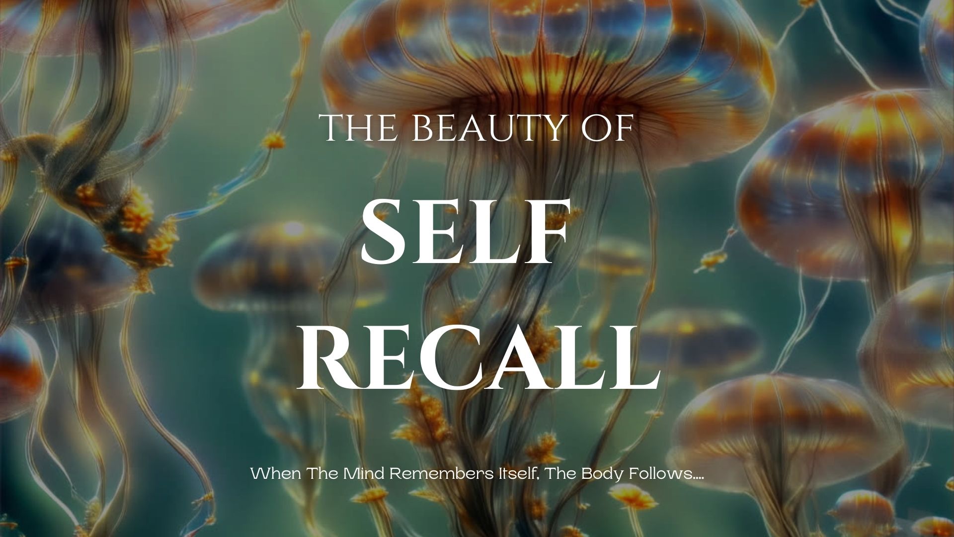 Self -Recall -Body-Phase 1