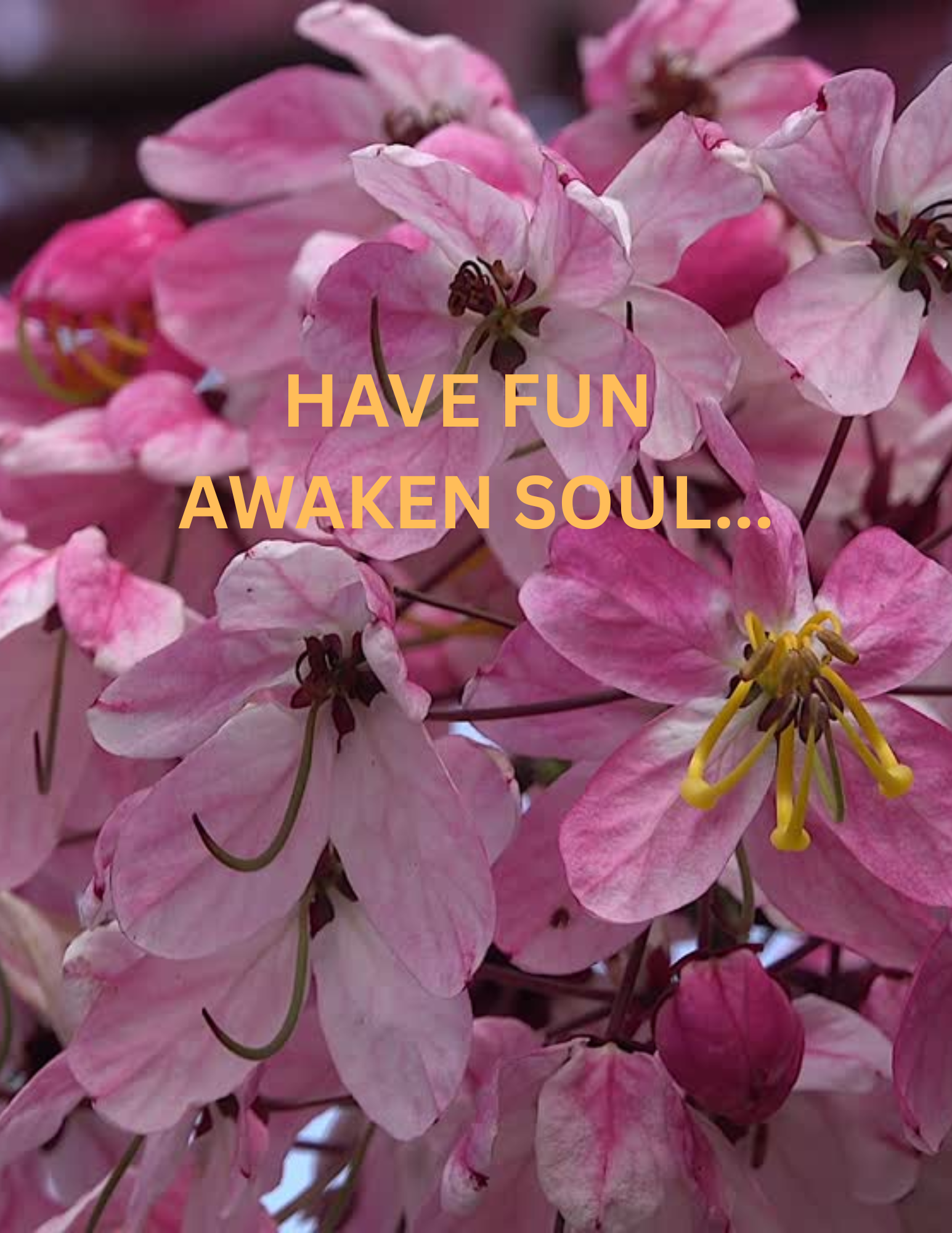 First Date Questionnaire