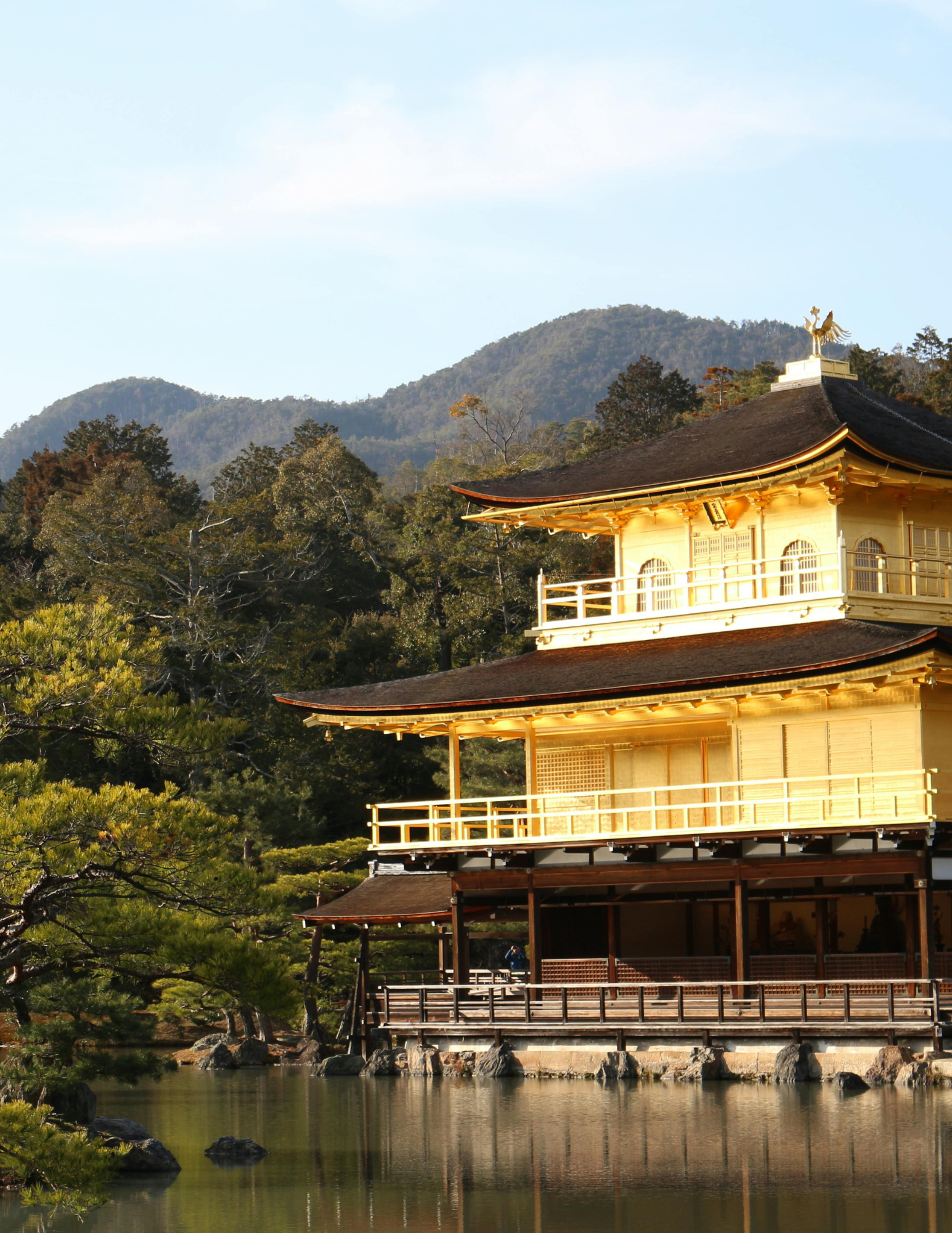 Self Recall Starter Toolkit