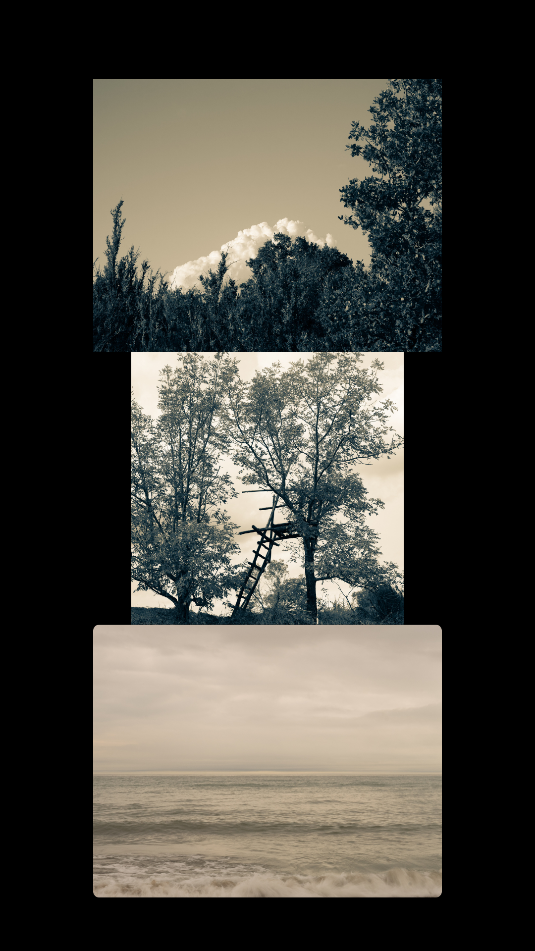 31  PROTOCOLES et RITUELS POUR SE NETTOYER ET SE PROTEGER. PDF