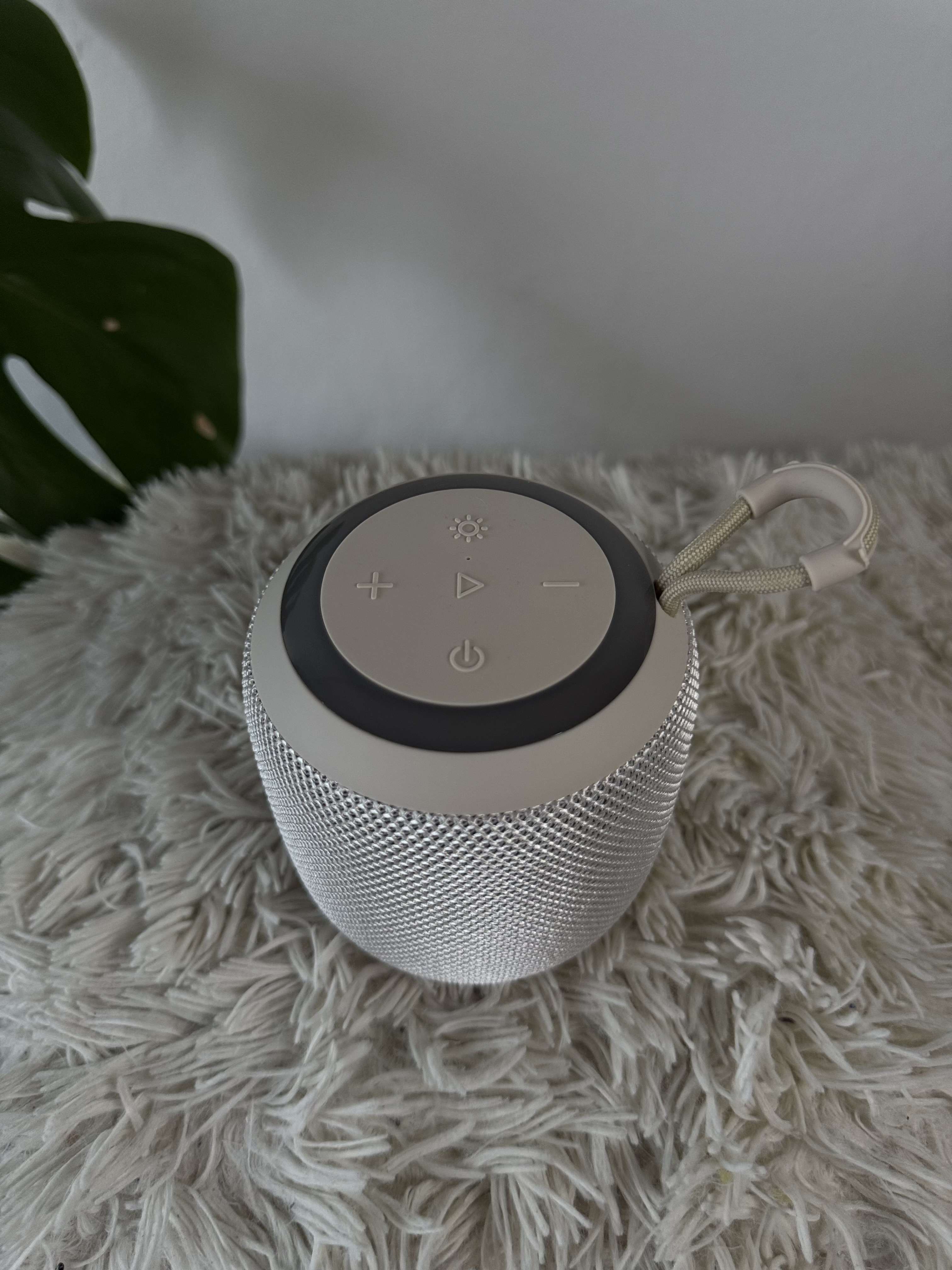 Parlante Jbl Flip 6 con RGB