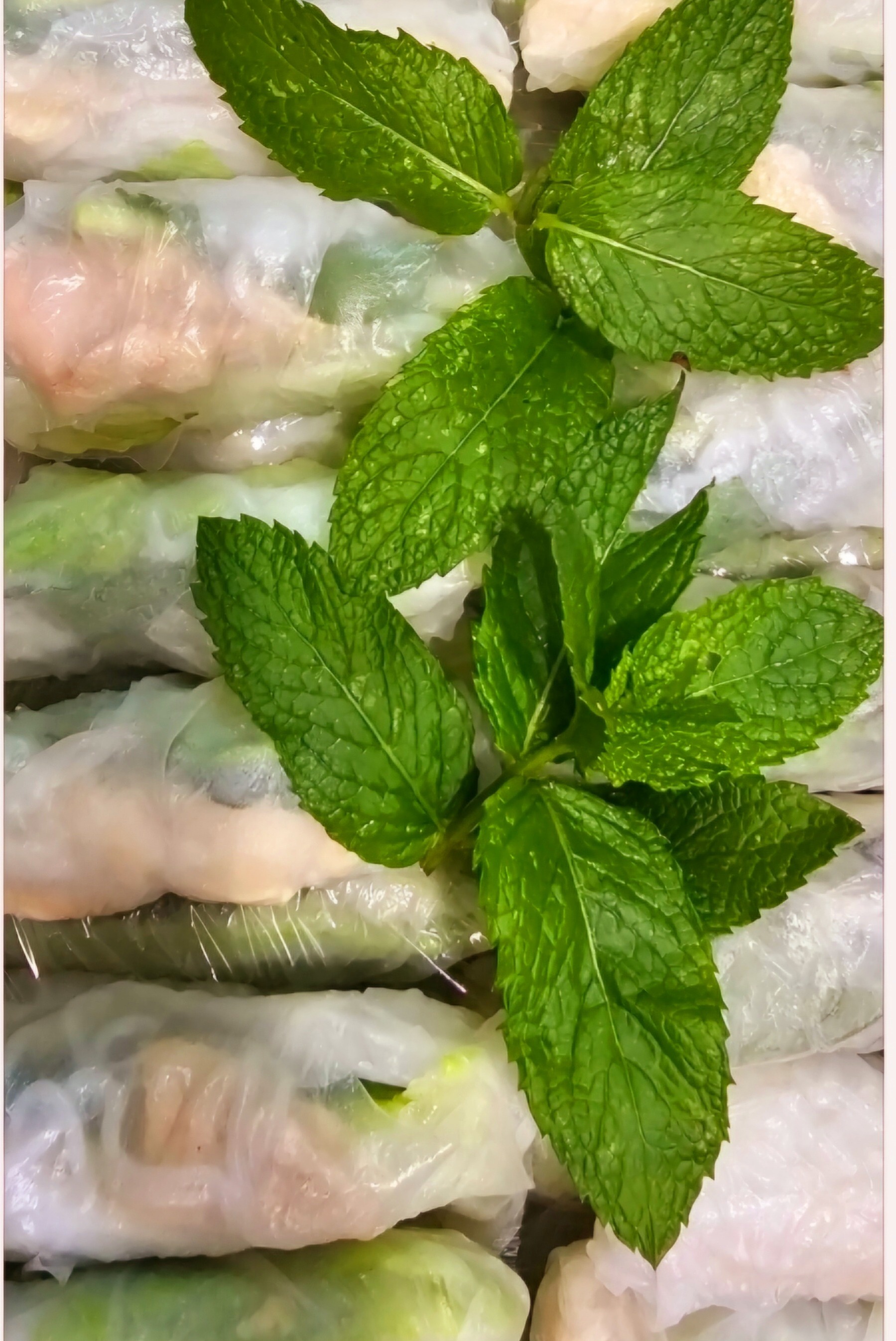 Vietnamese Fresh Summer Rolls/Gỏi Cuốn/Turkey/$3.00/roll