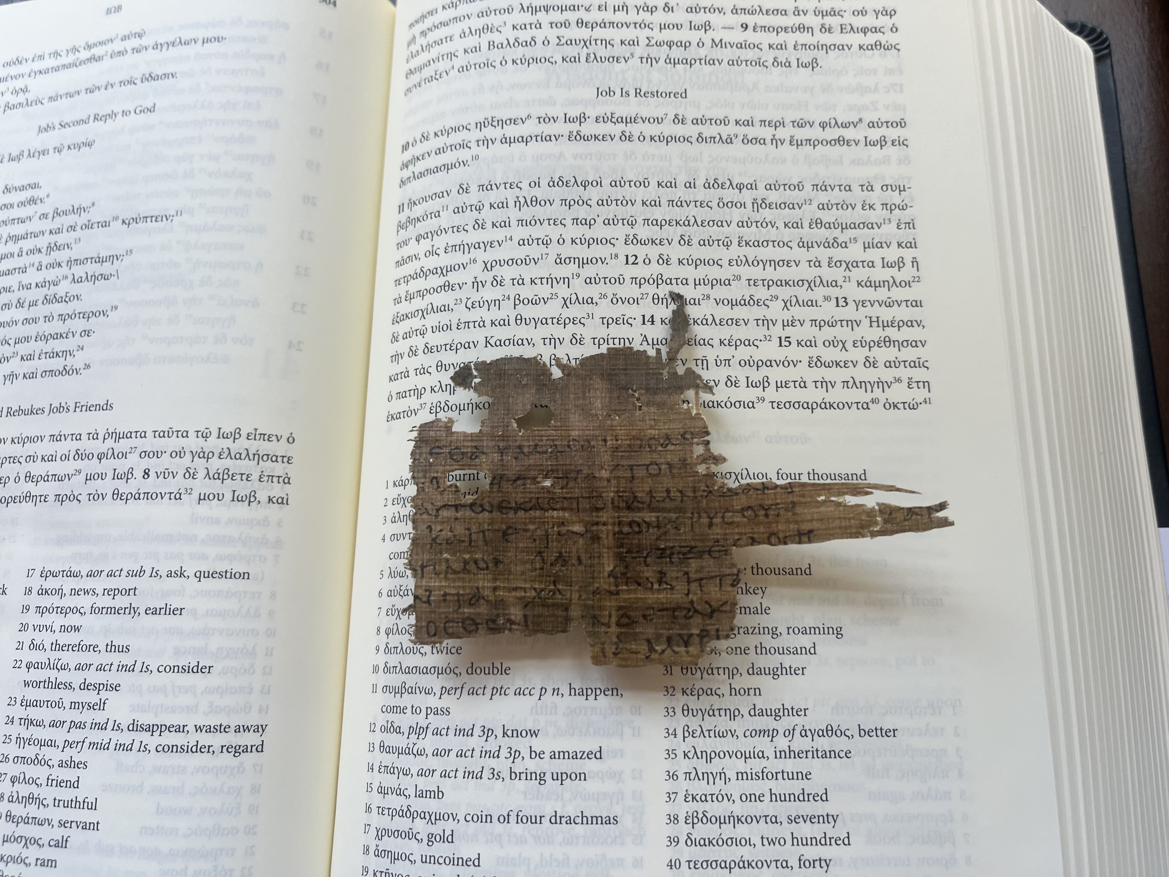 The Lord Blessed Job | Job 42 Papyrus | Oxyrhynchus 3522 Greek Manuscript Replica