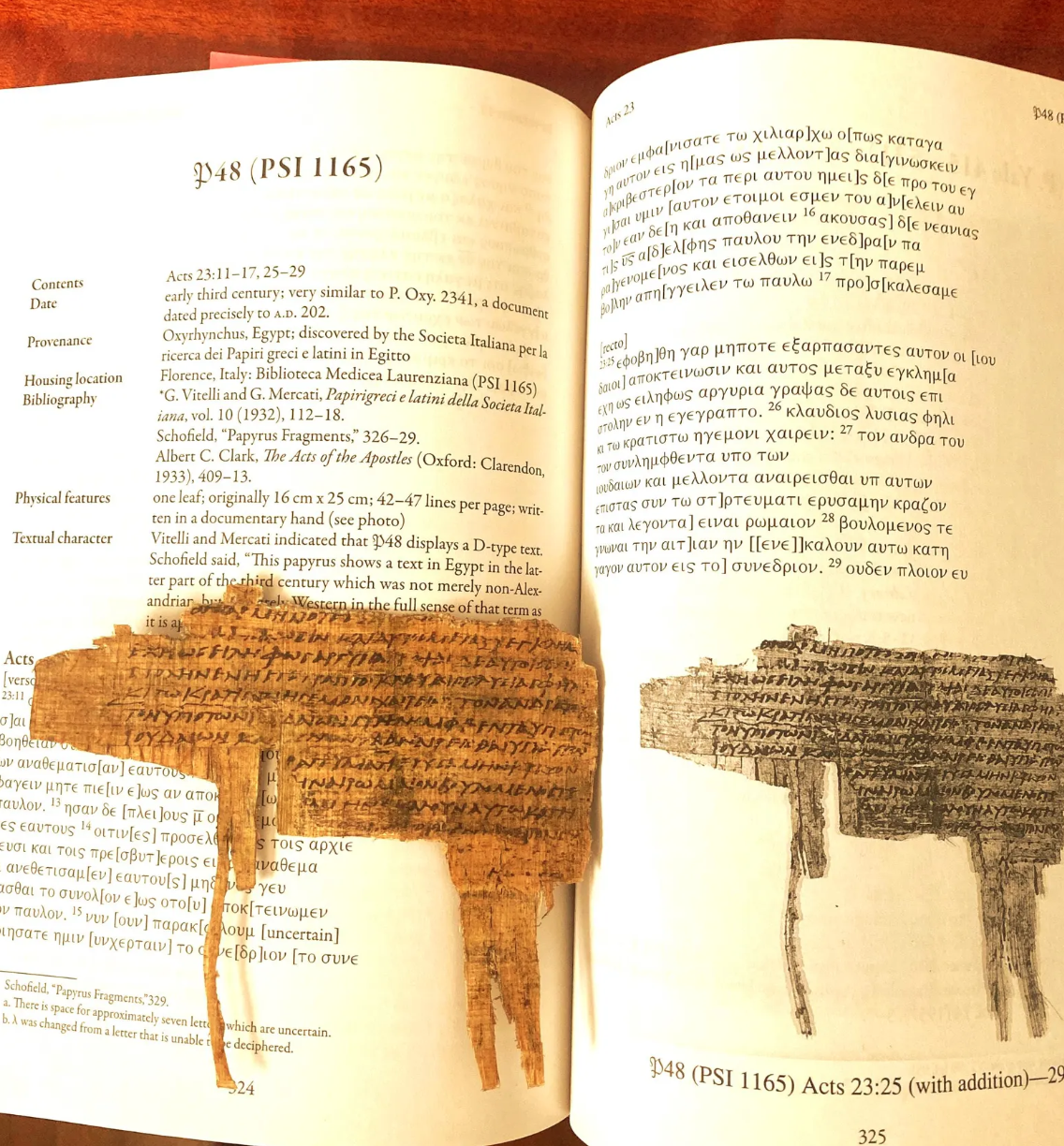 Papyrus 48 Replica | 3rd Century Book of Acts Fragment | 5x7" Floating Display (Recto/Verso)