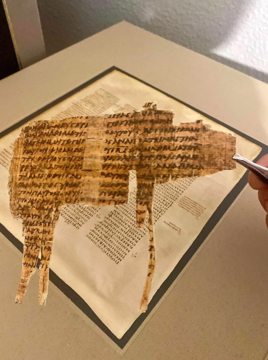 Papyrus 48 Replica | 3rd Century Book of Acts Fragment | 5x7" Floating Display (Recto/Verso)