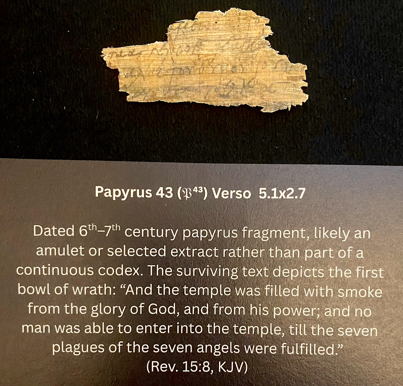 Papyrus 43 Fragment | 6th–7th Century Biblical Extract