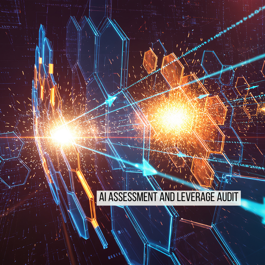 AI Assessment and Leverage Audit