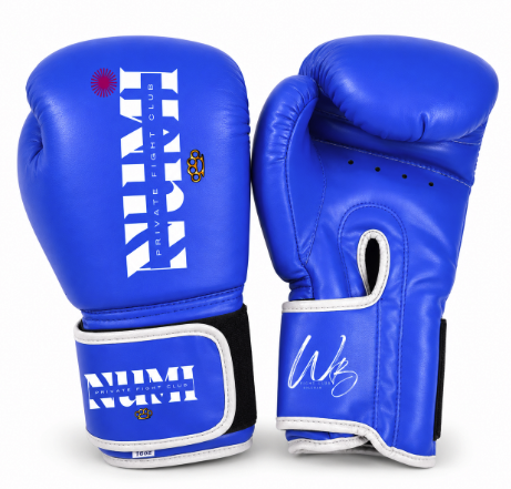 Boxing gloves