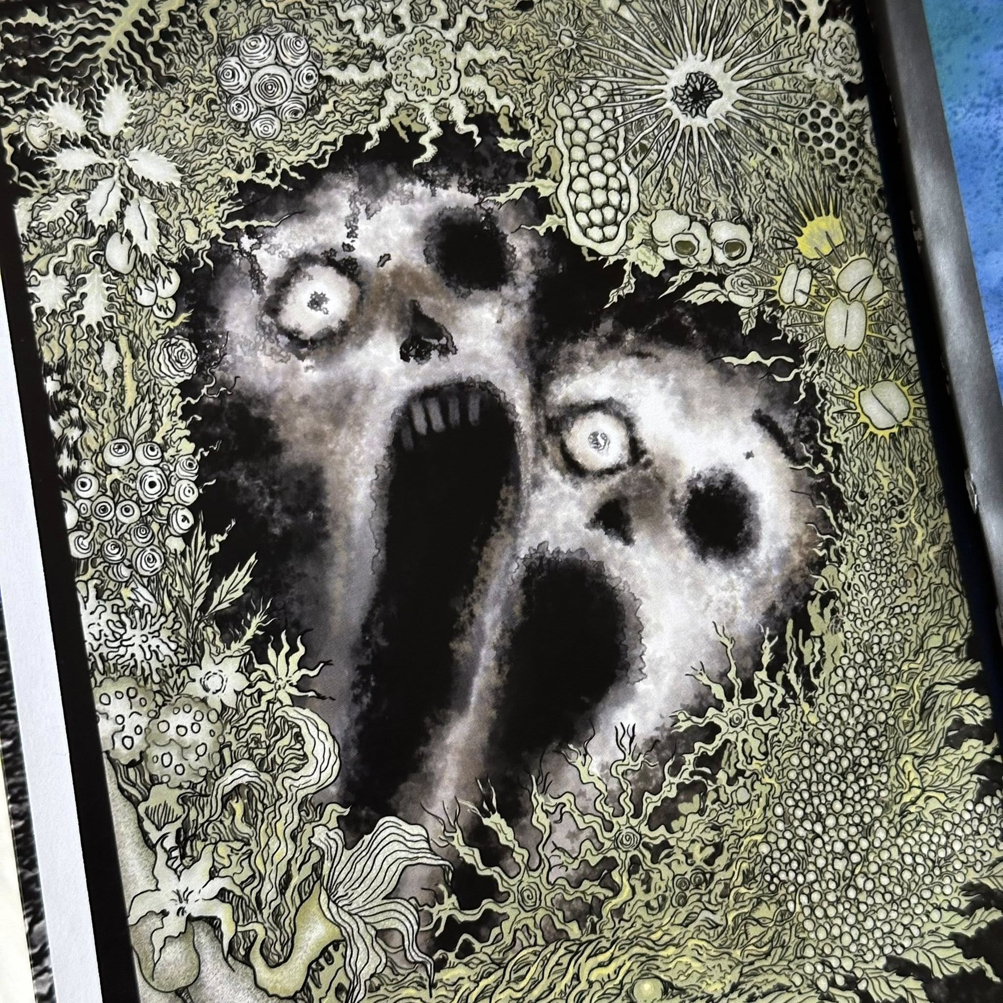 Venus in the Blind Spot