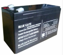 Blue Gate Sealed Rechargeable Battery