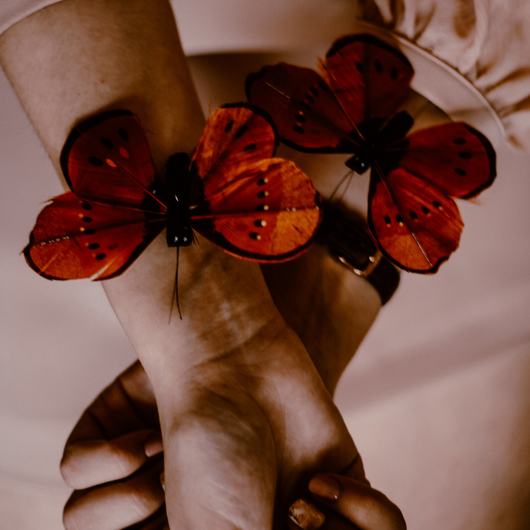 Connexion Éternelle 