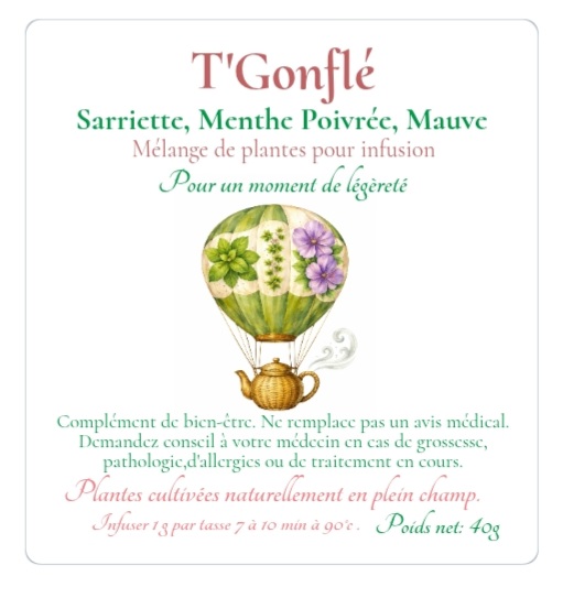 T'Gonflé 