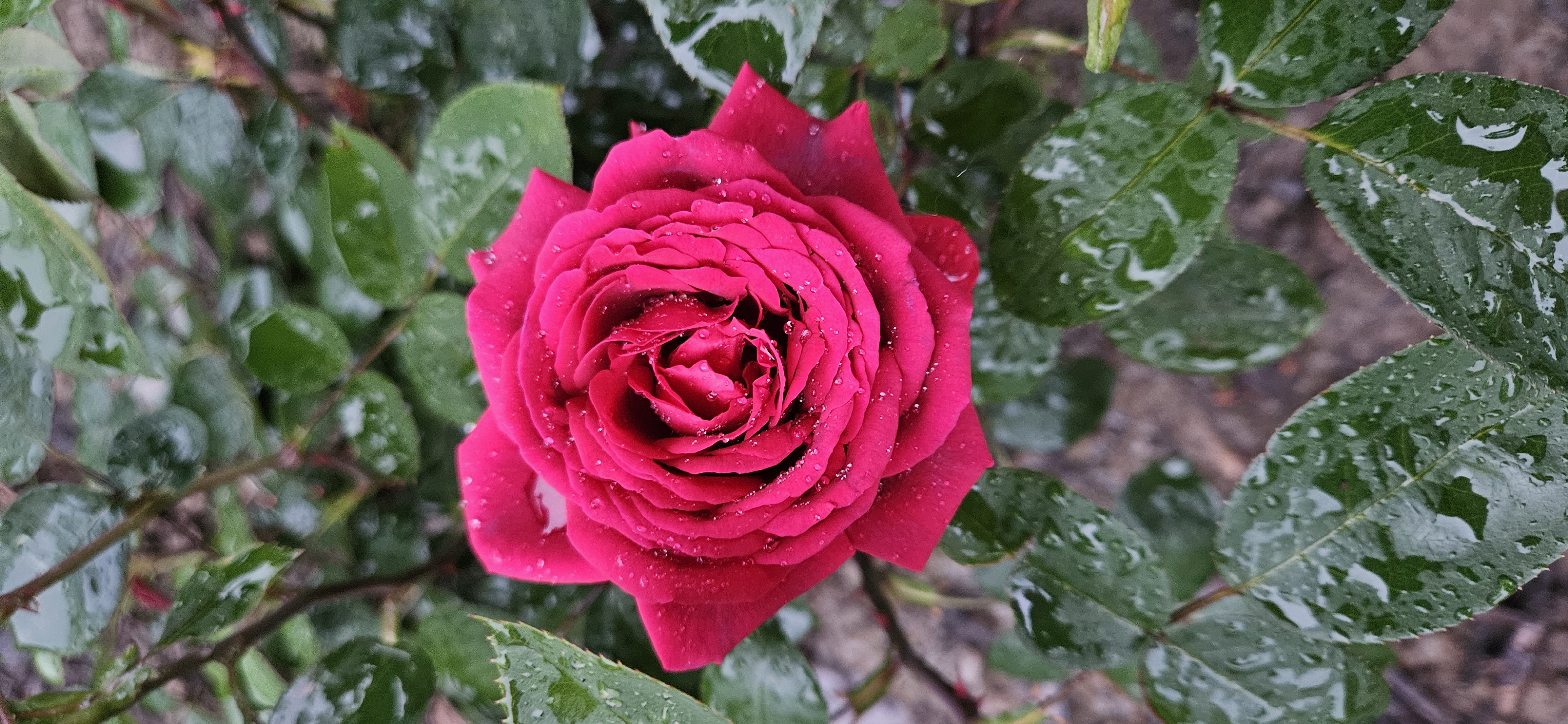 Coaching Bundle - 8 Sessions