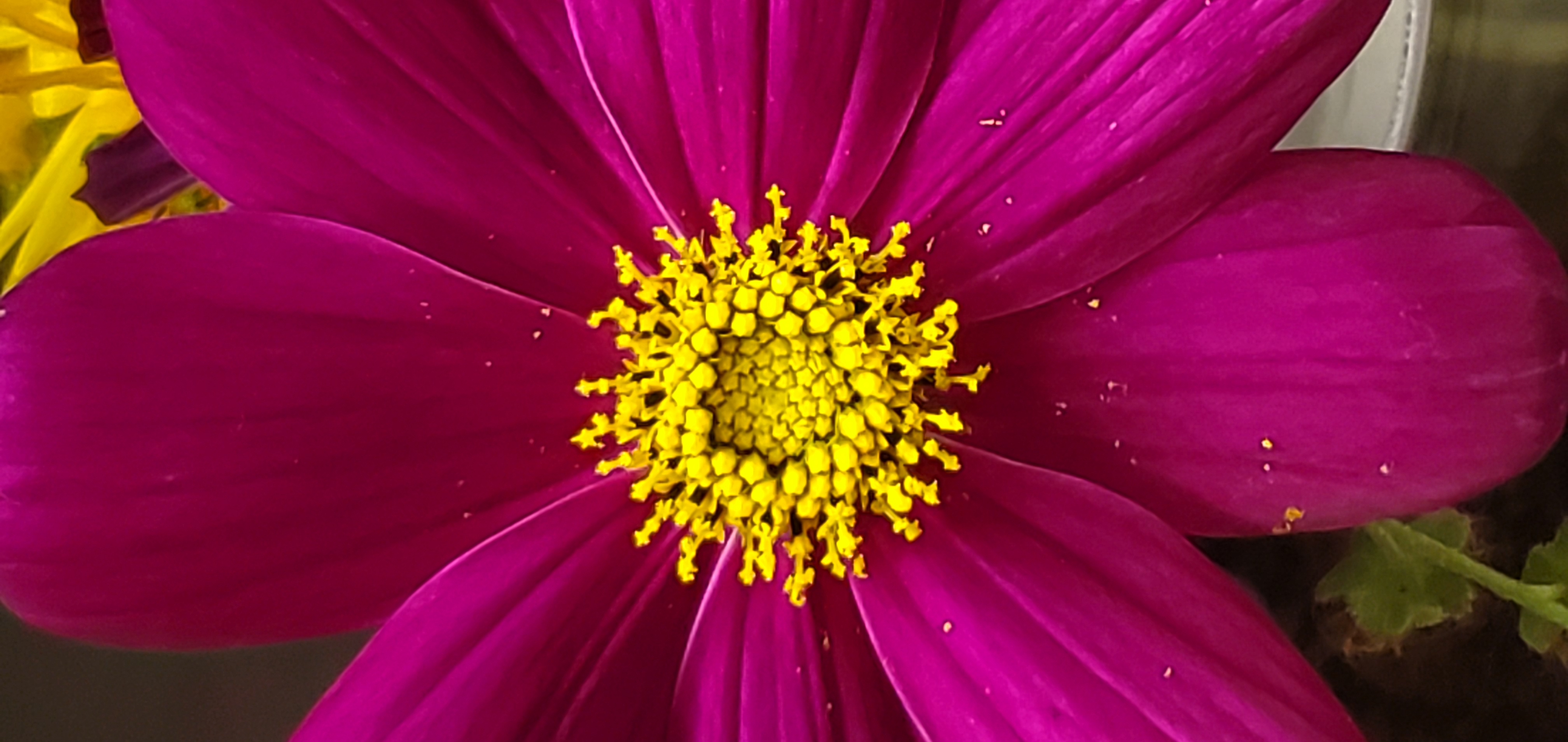 Individual Coaching Session