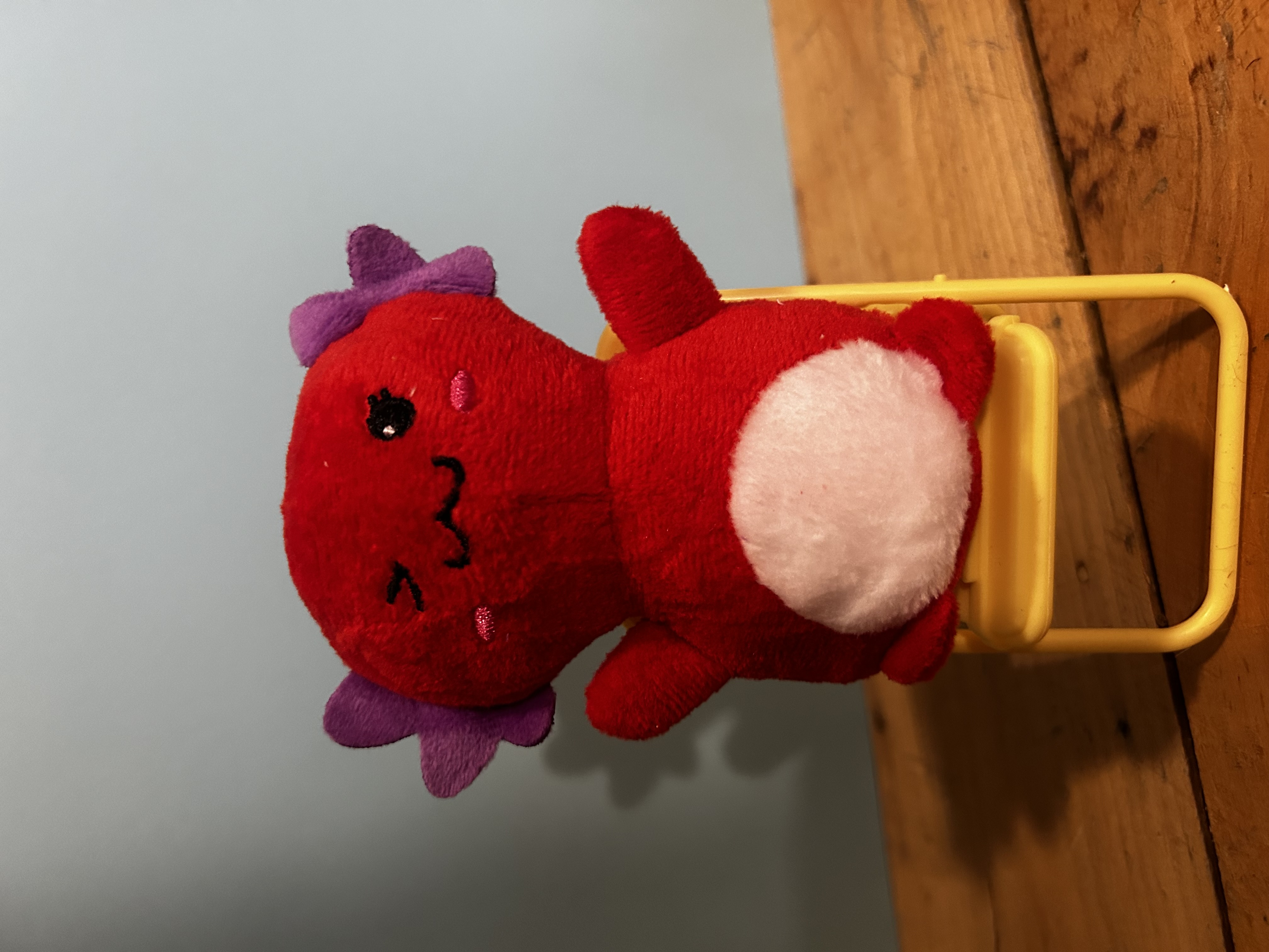 Red Axolotl 