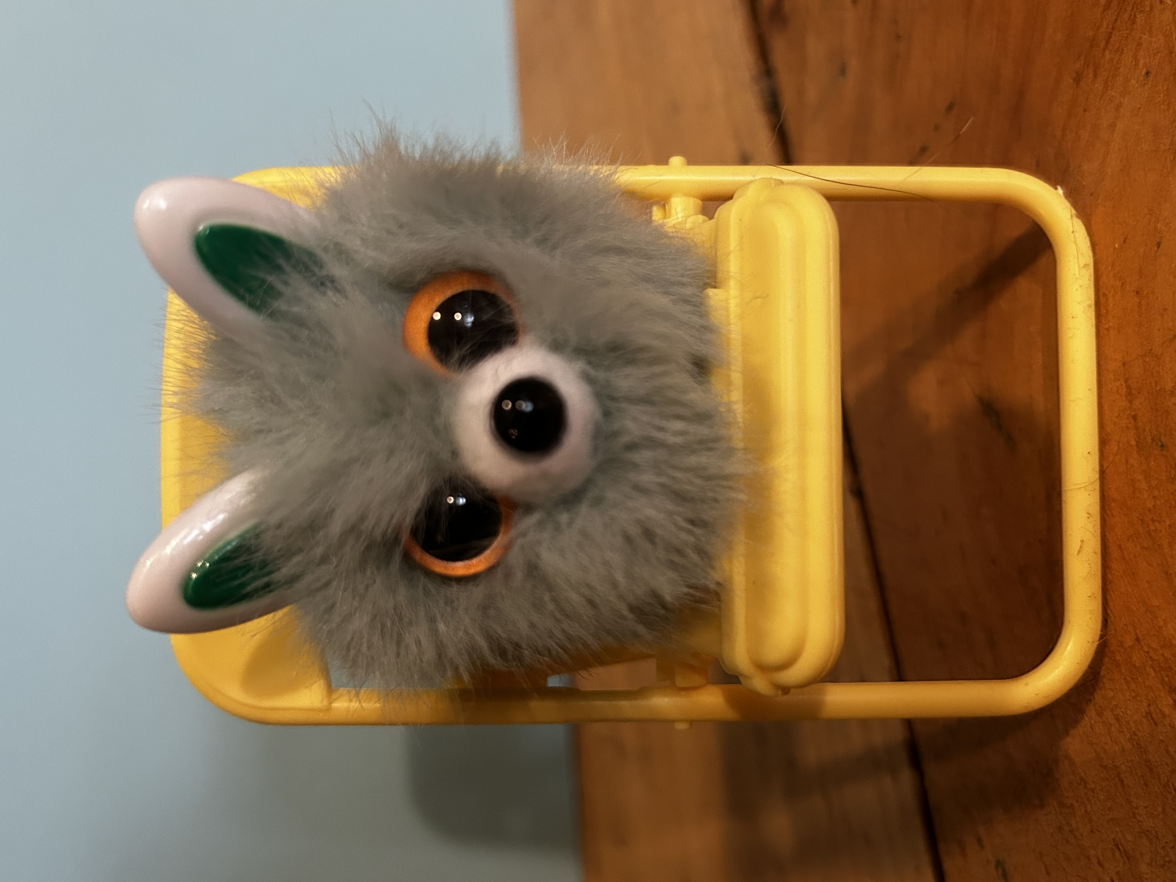 Fluffy Grey Moonwoof
