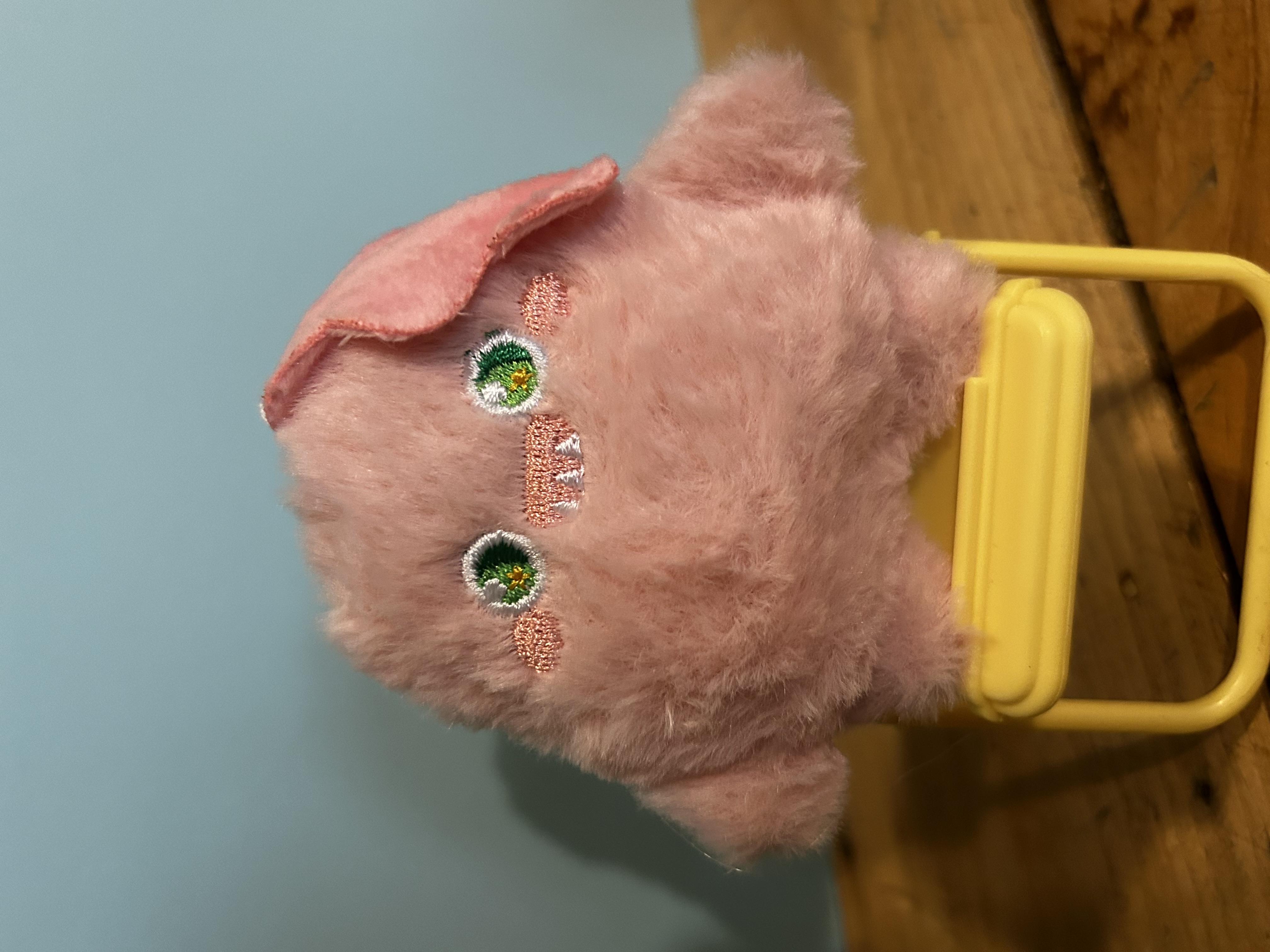Pink Puffallop