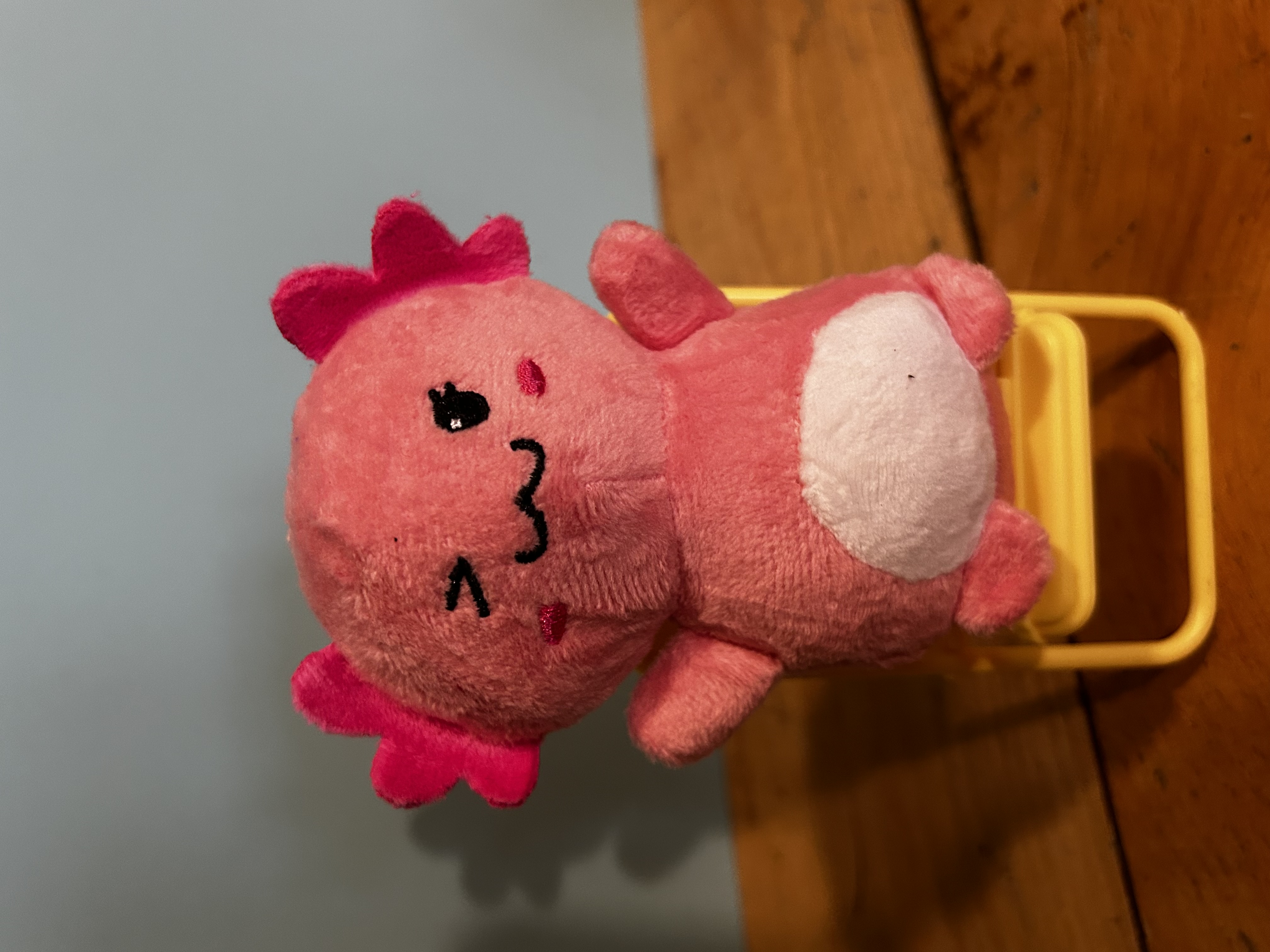 Pink Axolotl 