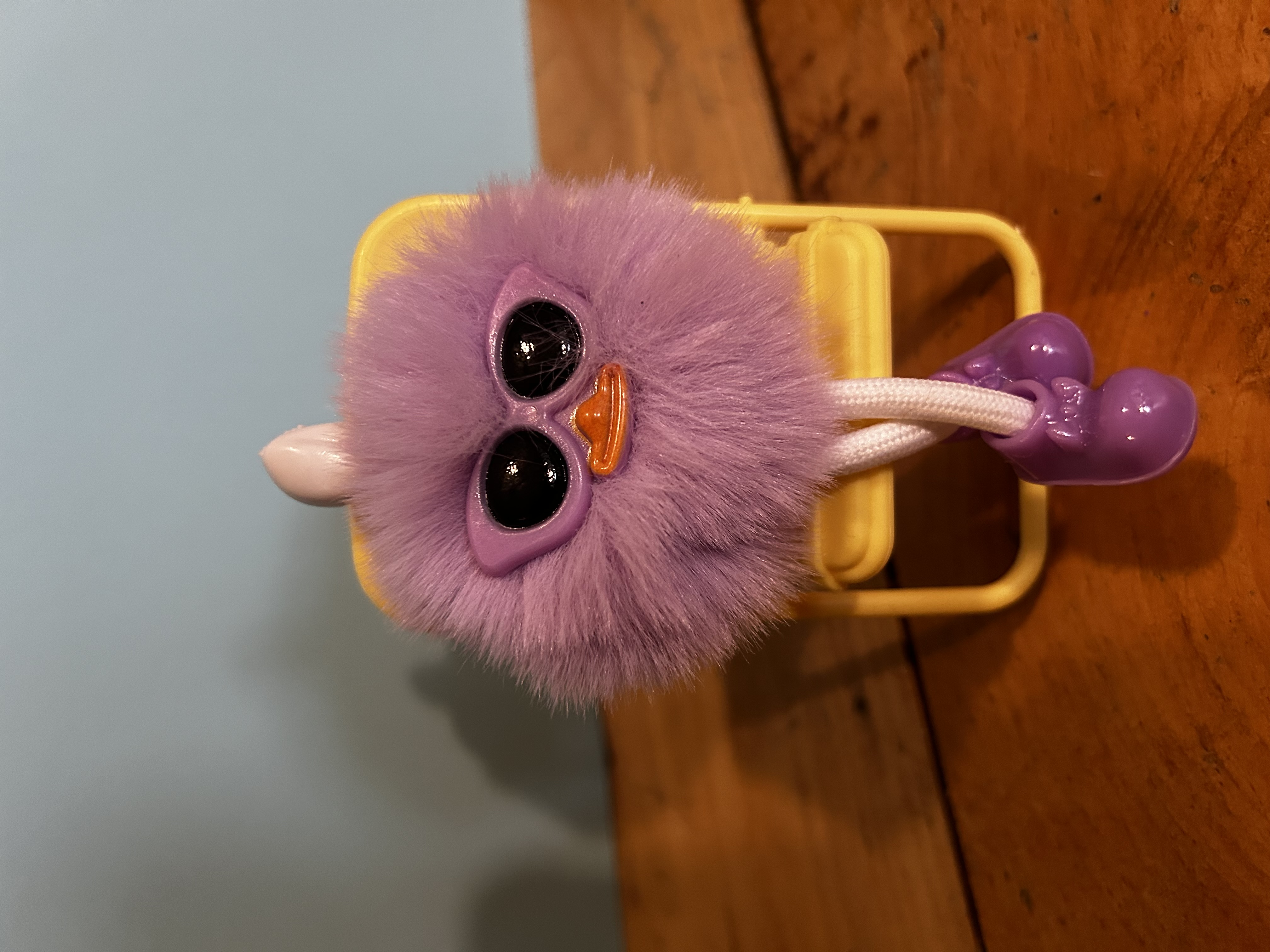 Fluffy Purple Tumblefluff