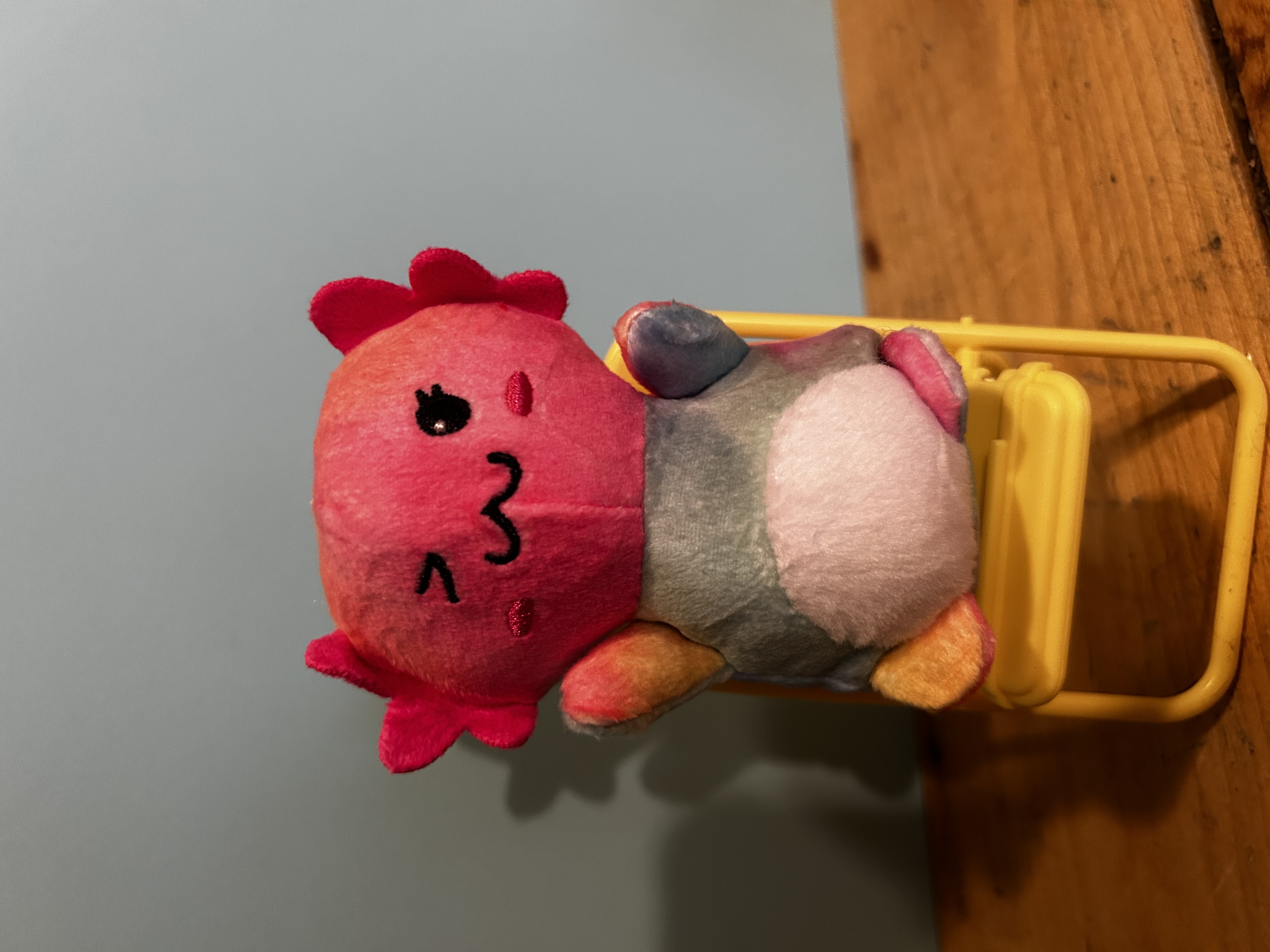 Tiedye Axolotl