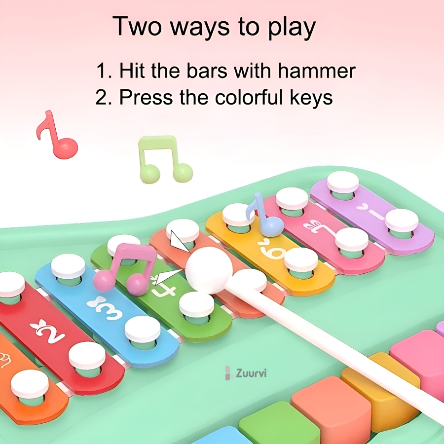 Zuurvi® Musical Piano & Xylophone Set - 8 Key Rainbow Glockenspiel with Mallets - Interactive Music Toy for Boys & Girls - Great Birthday Gift for Ages 1-5 - Assorted Colors (Pack of 1)