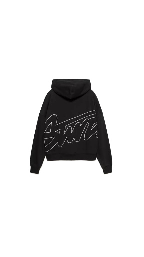 Hoodie STWD