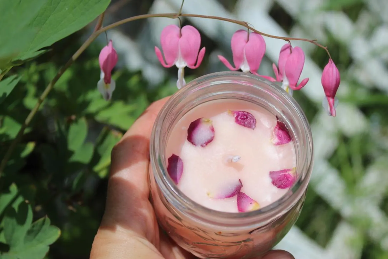 Pale Pink Citrus Rose Candle