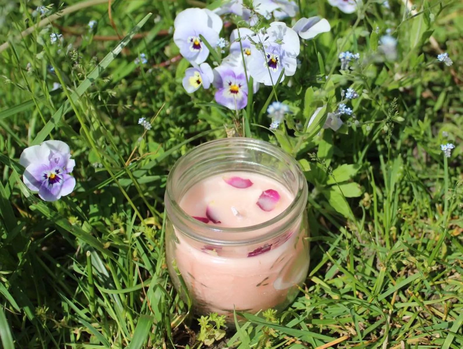 Pale Pink Citrus Rose Candle