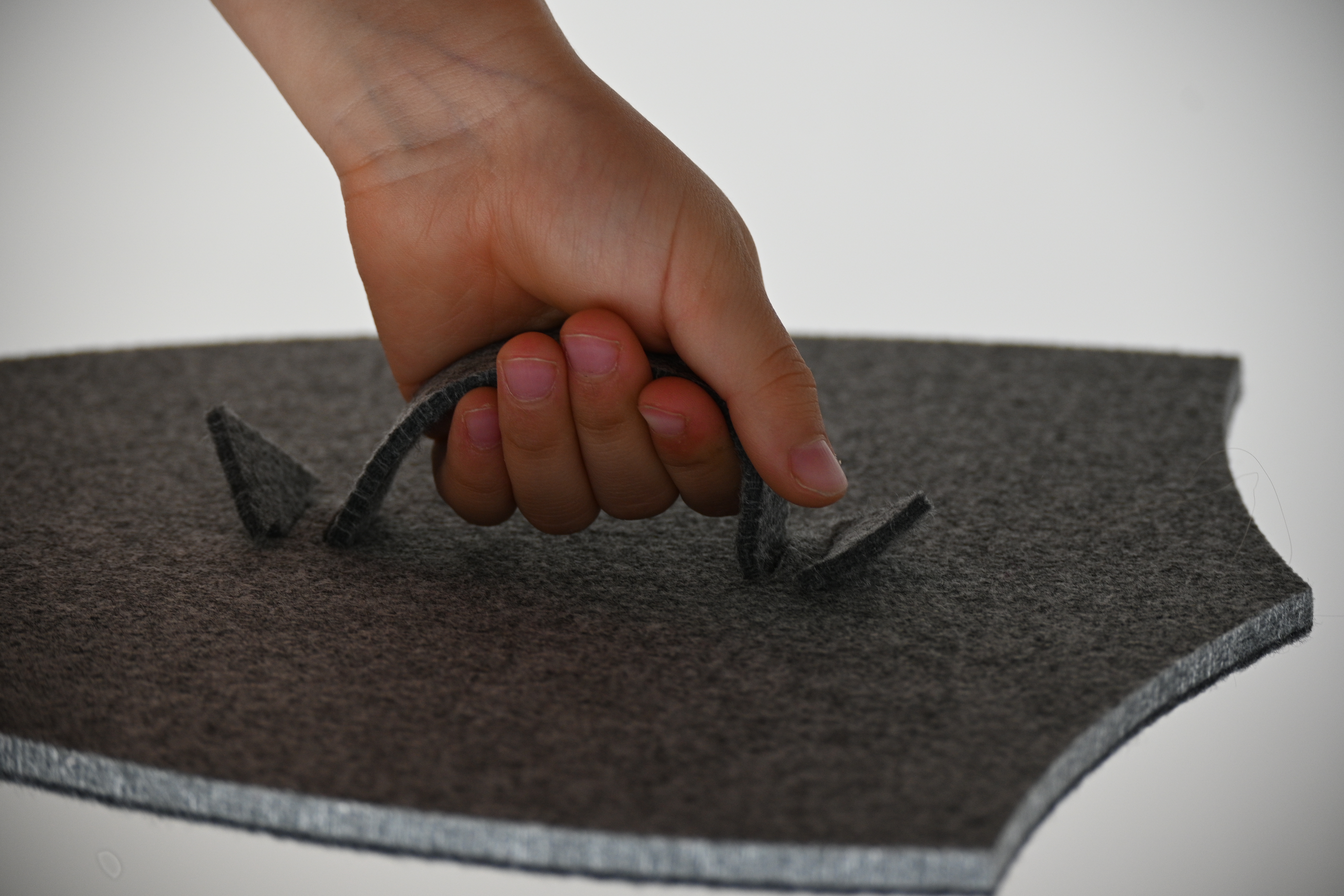 Filca bruņinieku vairogs