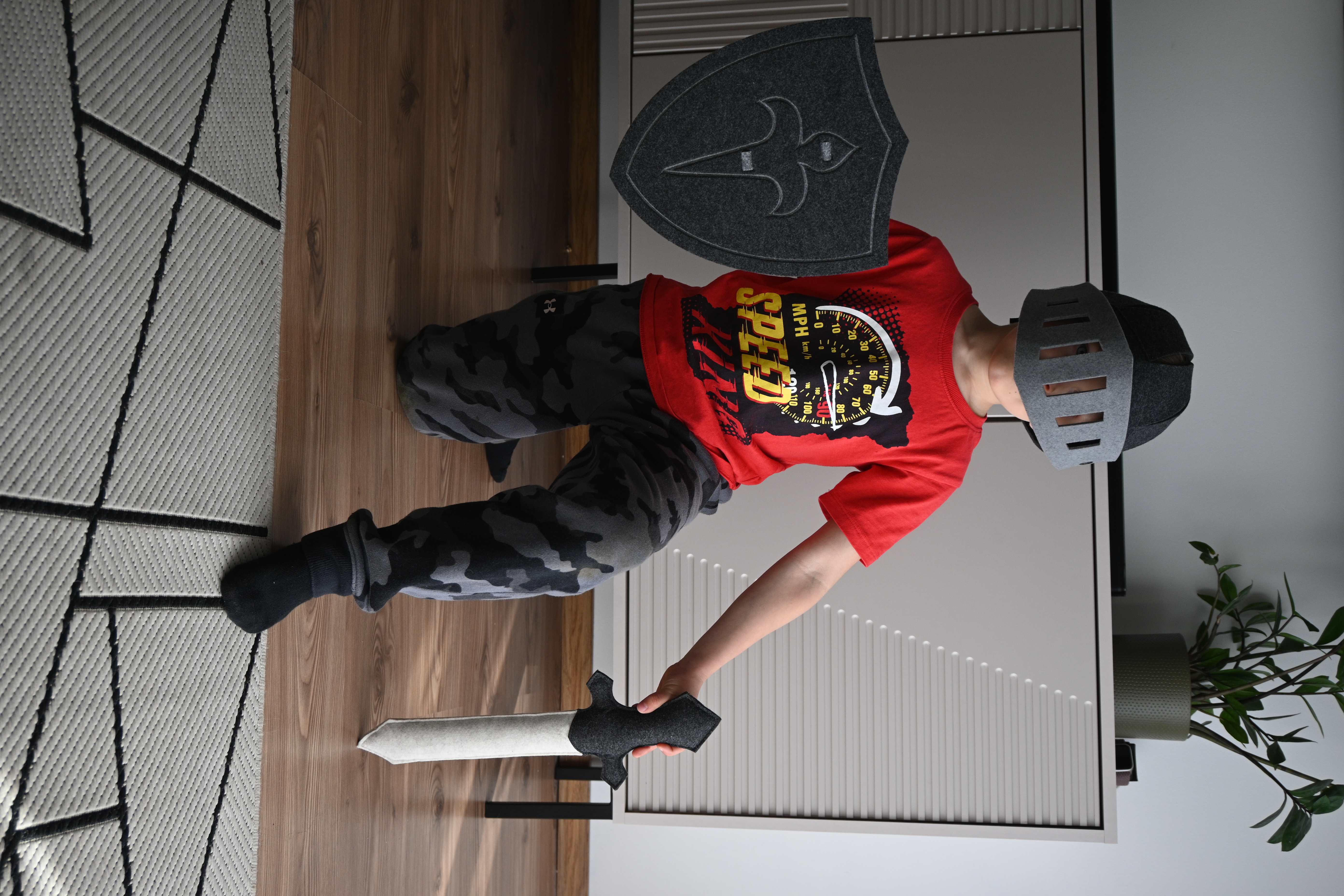 Filca bruņinieku vairogs