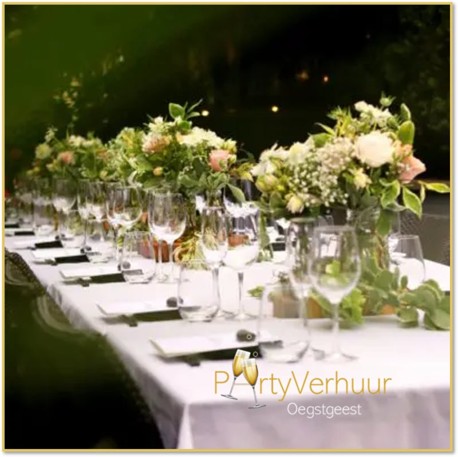 Grizzly easy up partytent 6 x 3 zwart