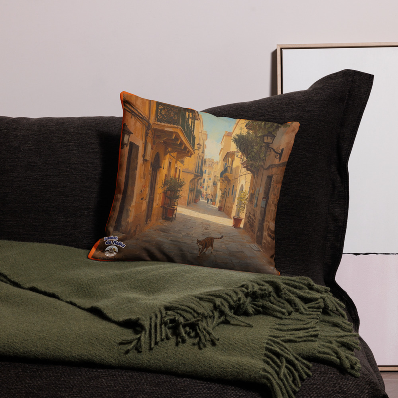 Housse de coussin Le chat de la rue