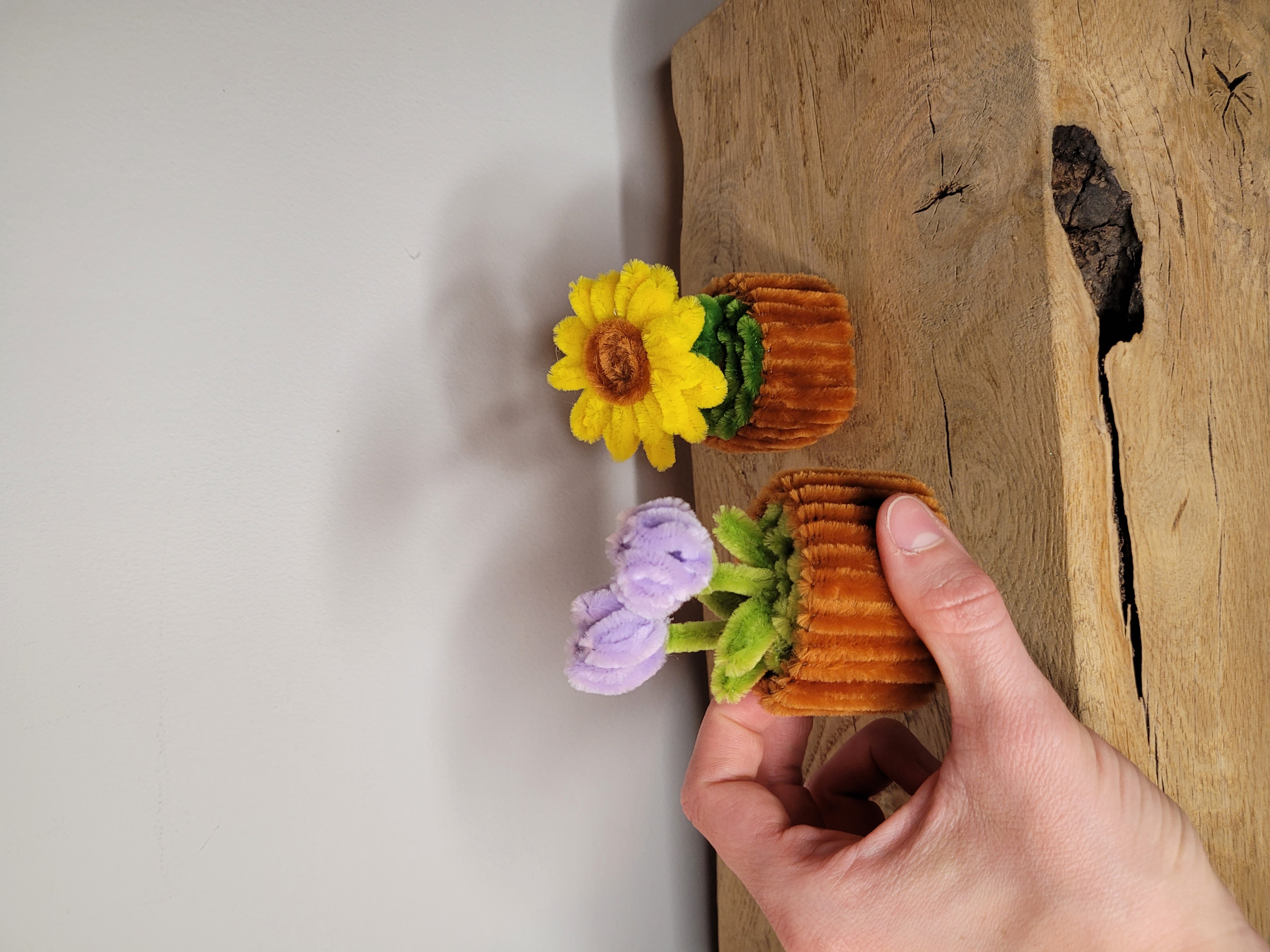 Mini fleurs en pot