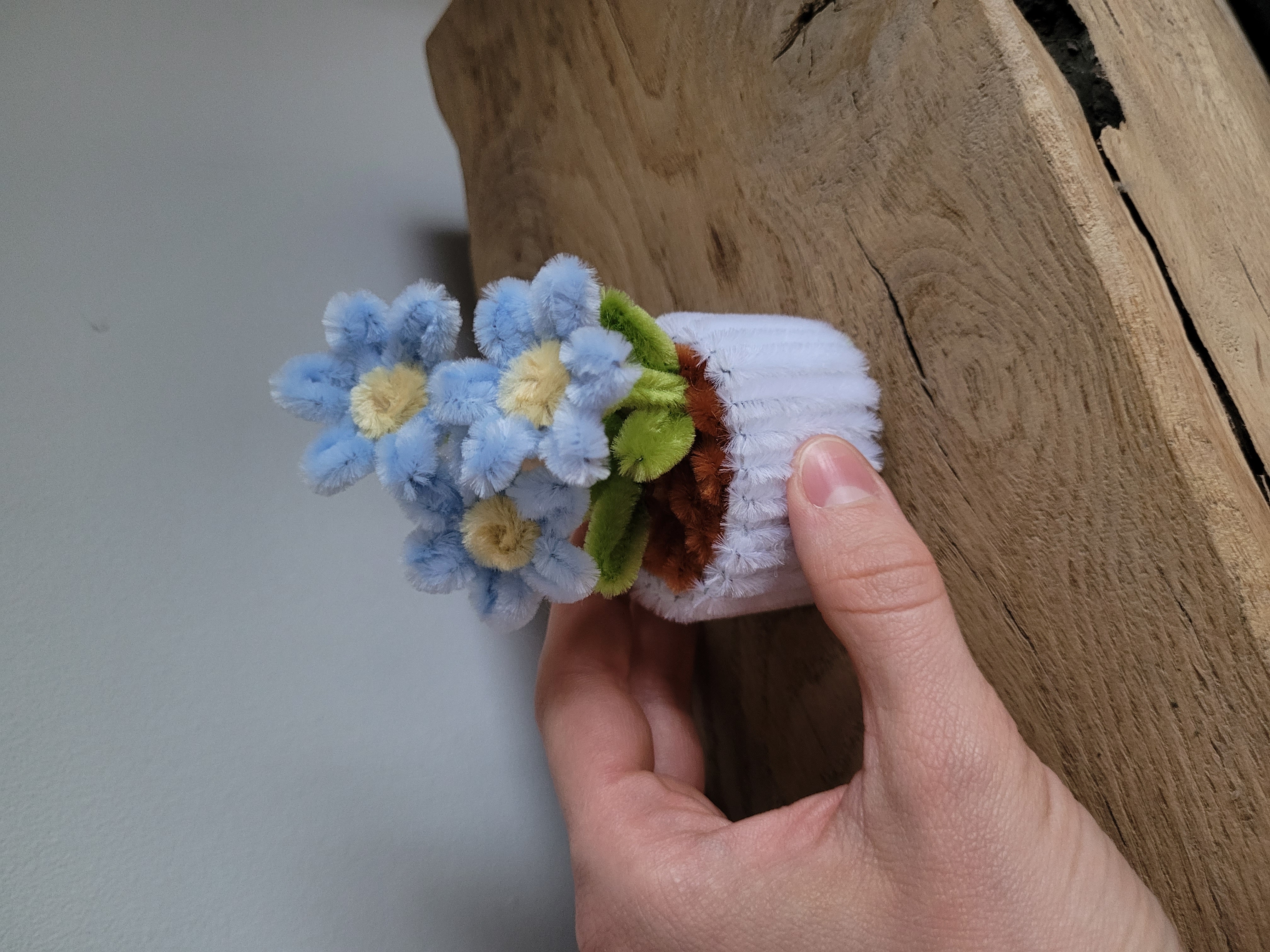 Mini fleurs en pot