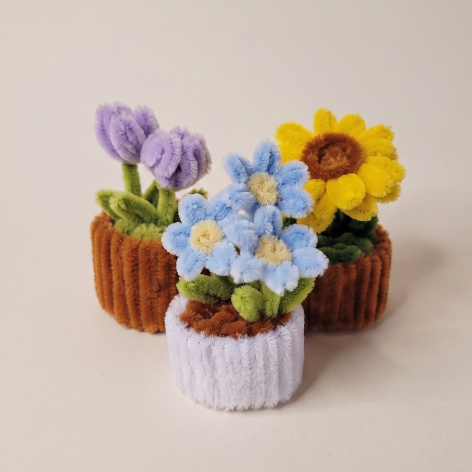 Mini fleurs en pot
