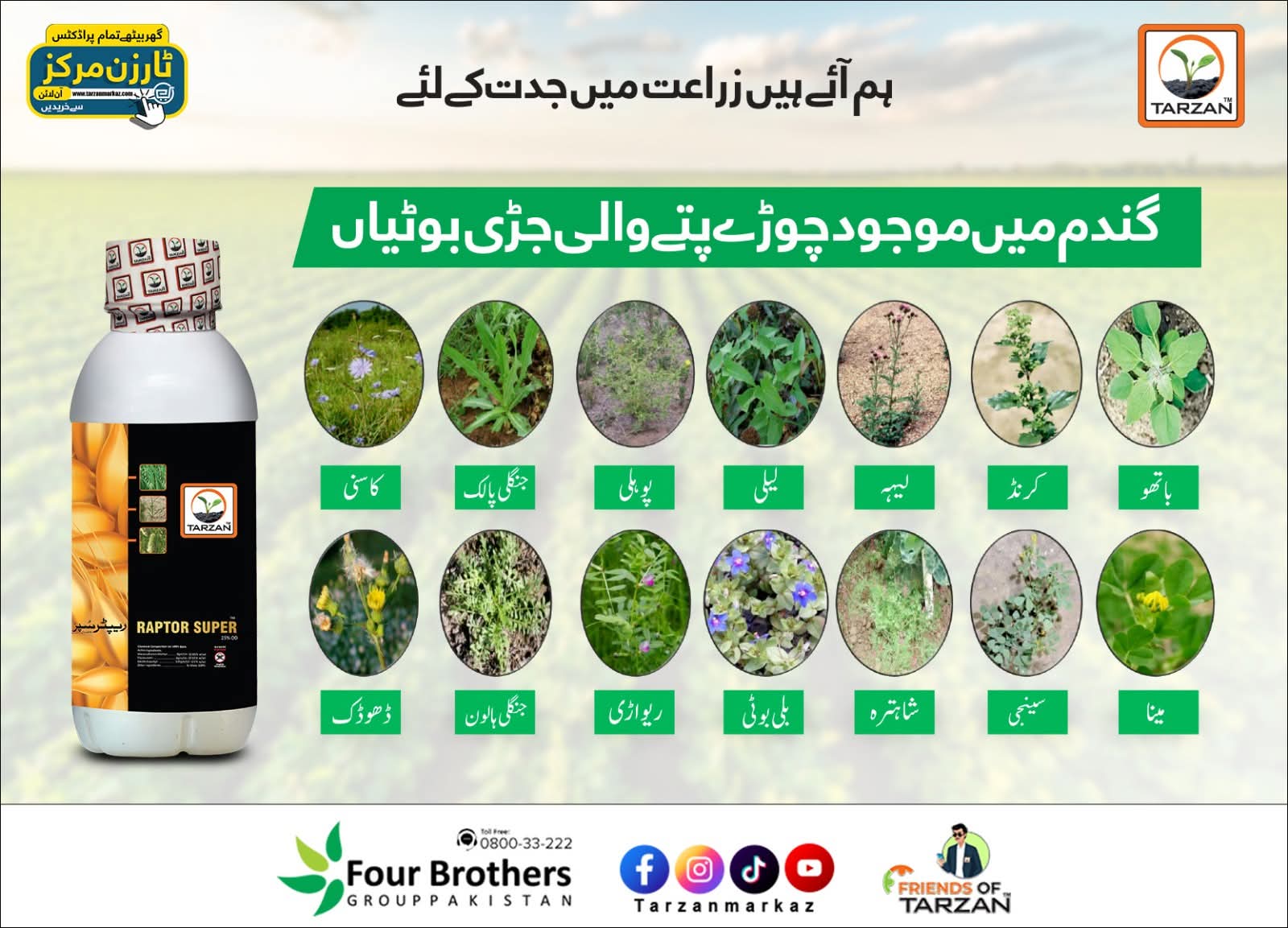 Raptor Super Herbicide