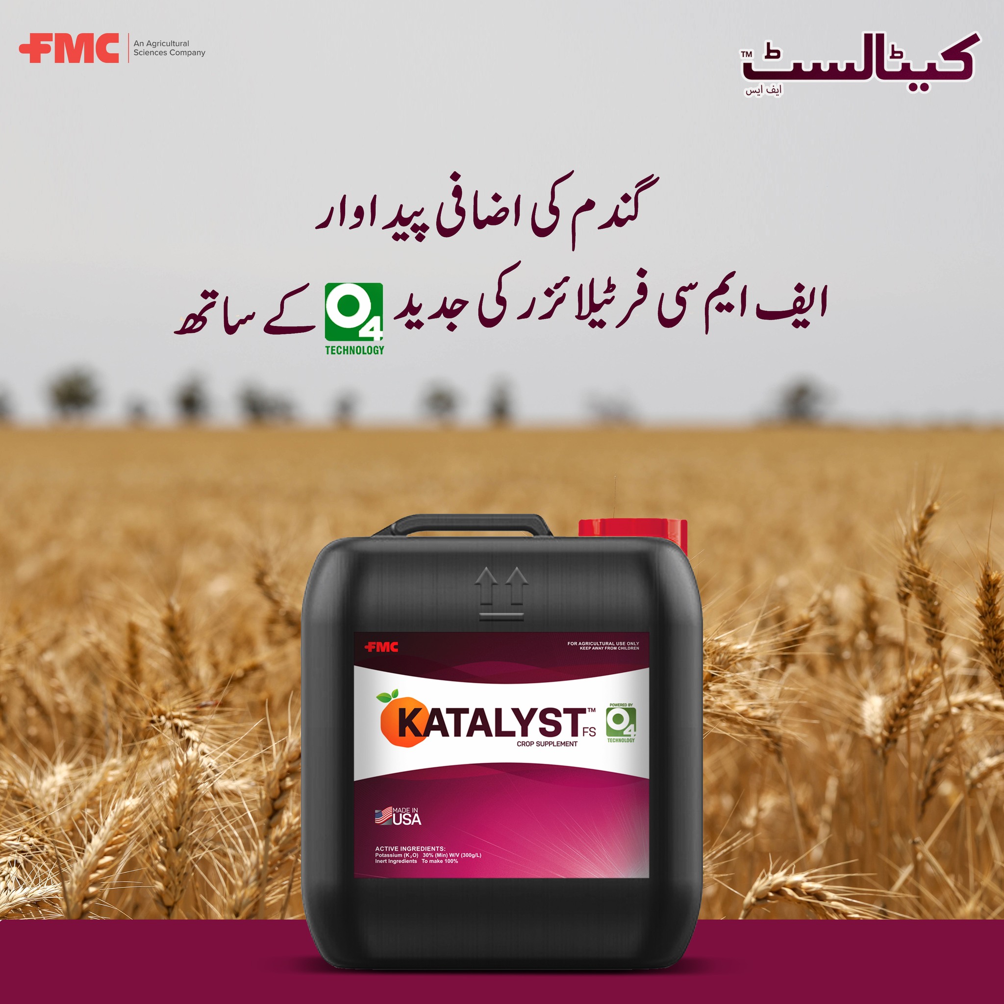 Katalyst 3Lit Fertilizer