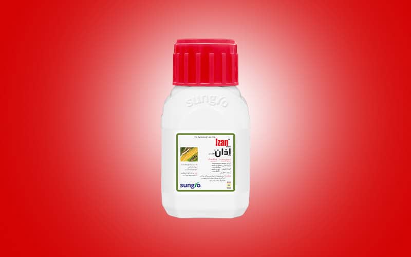 Izan 160 ml