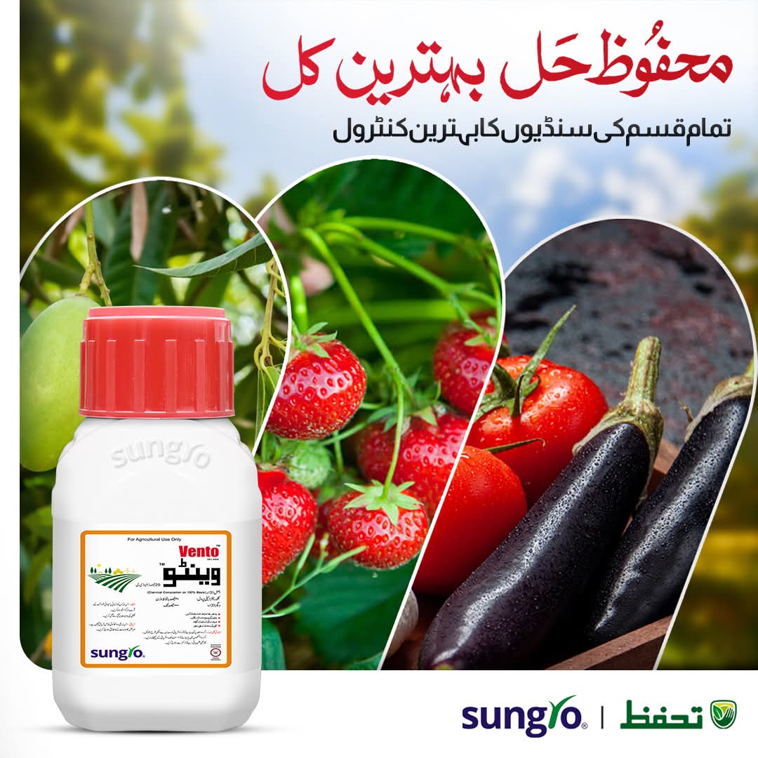 Vento Plant Protection Solution