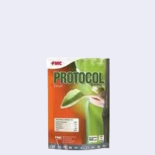 Chlorothalonil / Procymidione Protocol 50wp