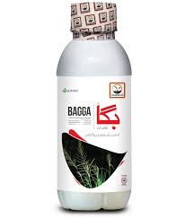 Bagga 800 ml